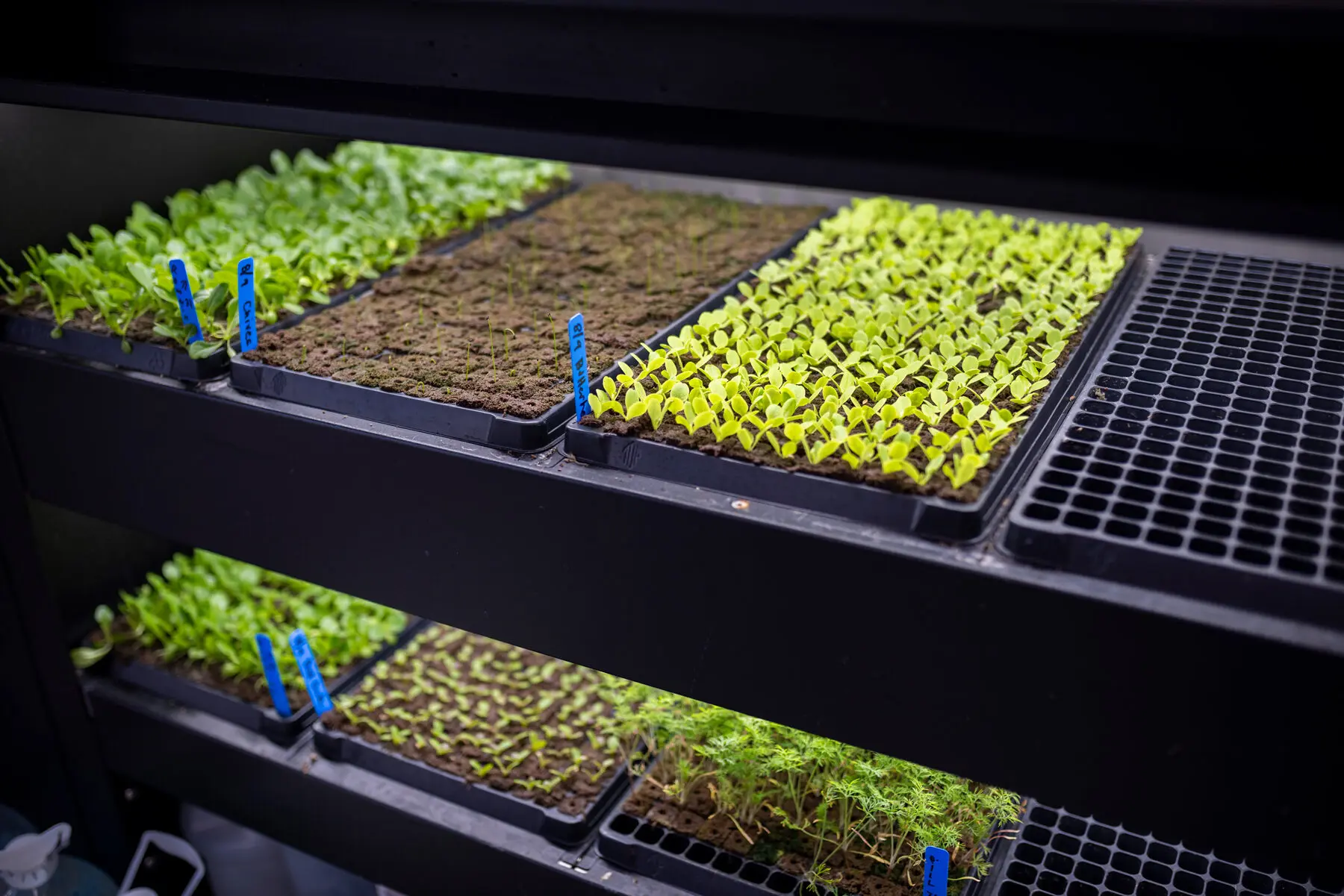 growing soil free 2