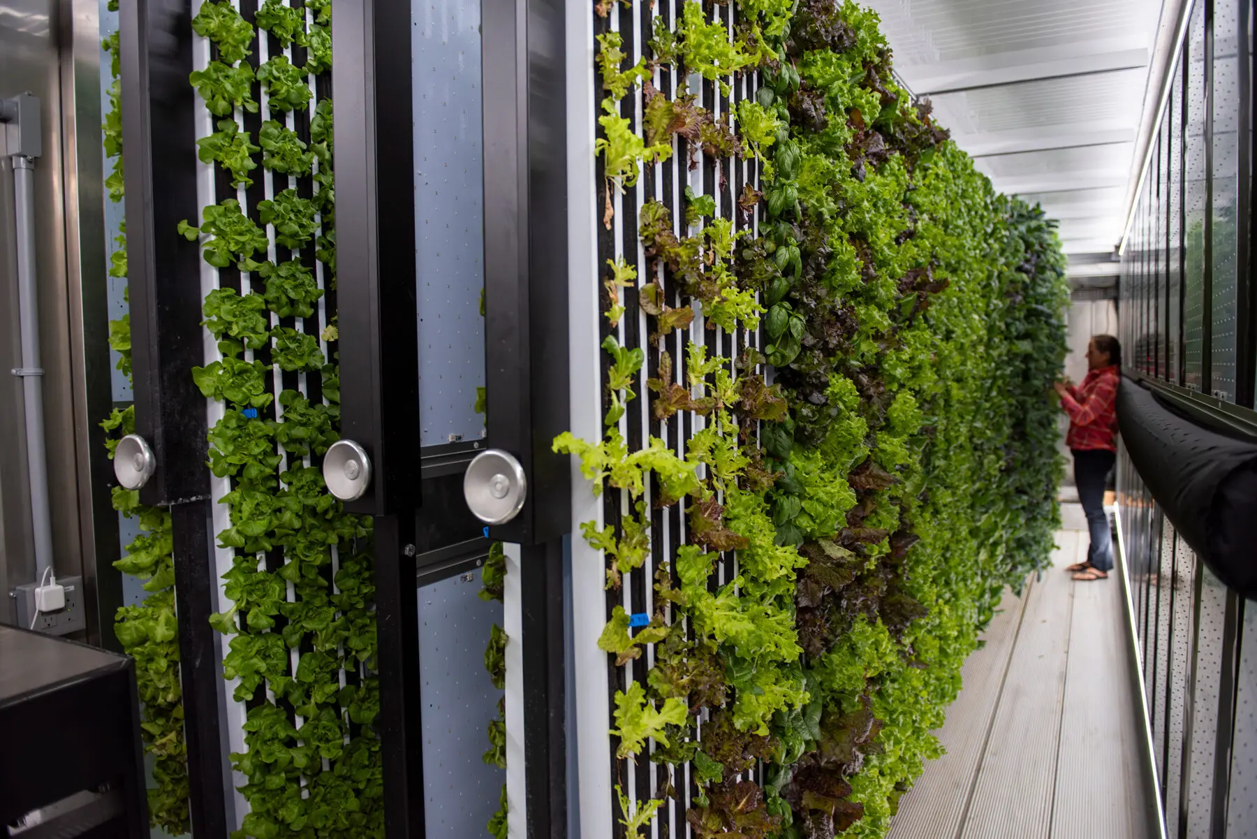 growing soil free 4