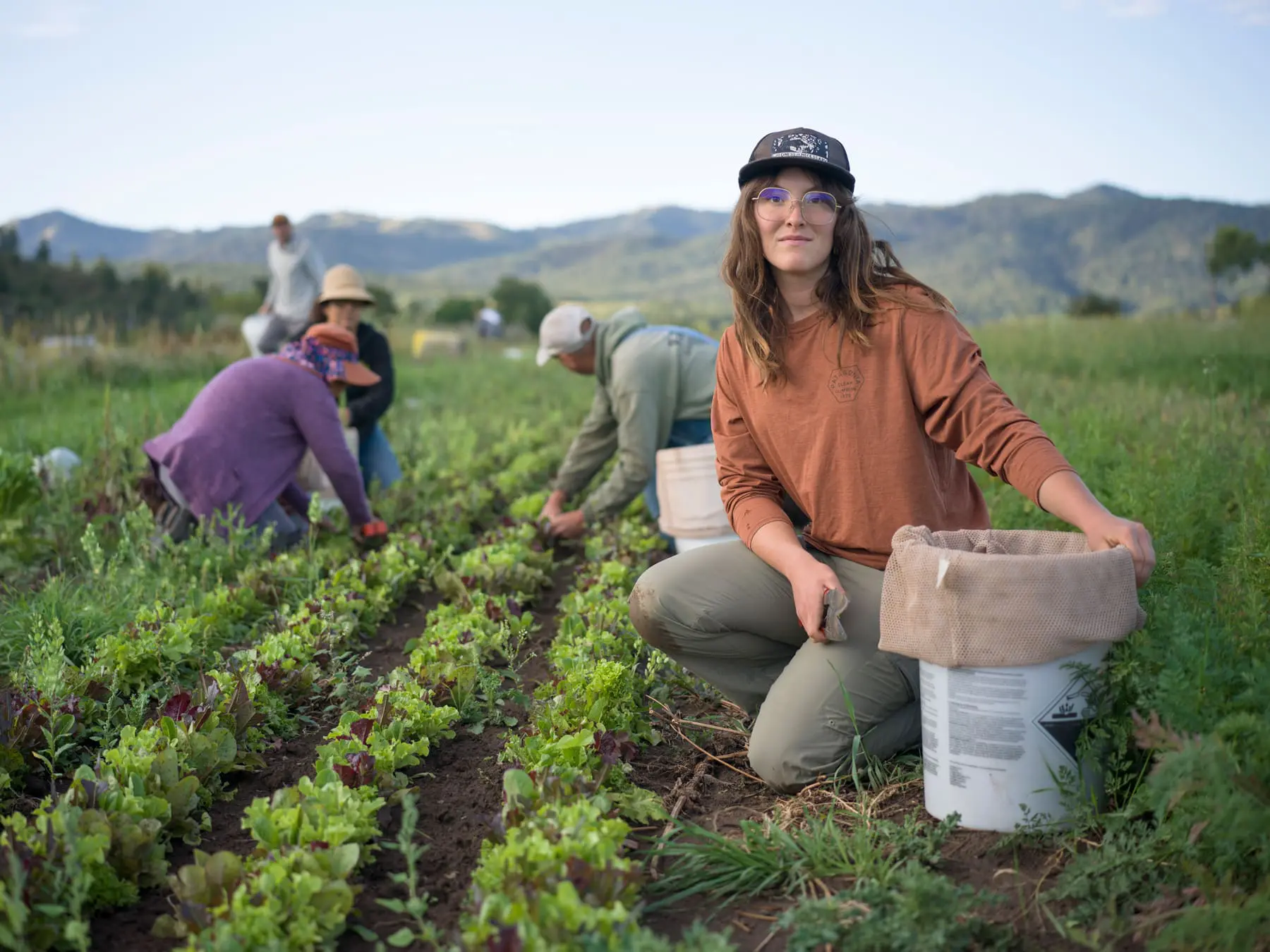csa farmshares 1
