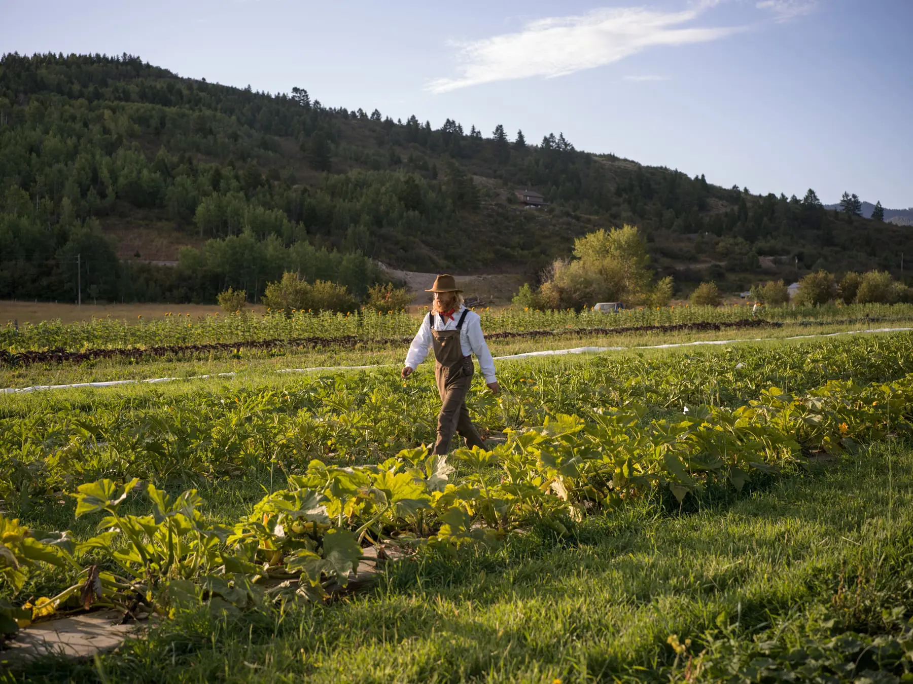 csa farmshares 5