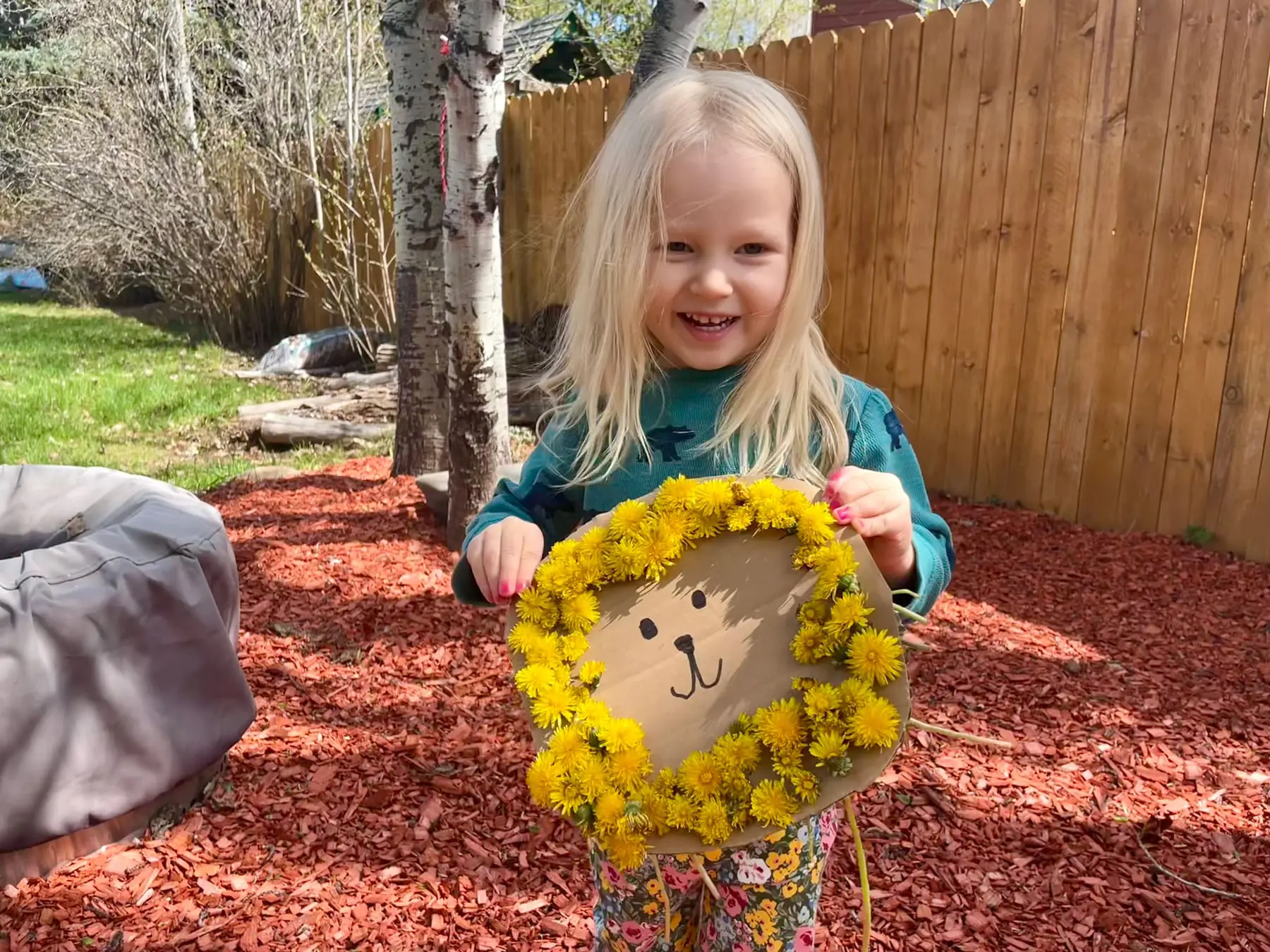 dandelions 3