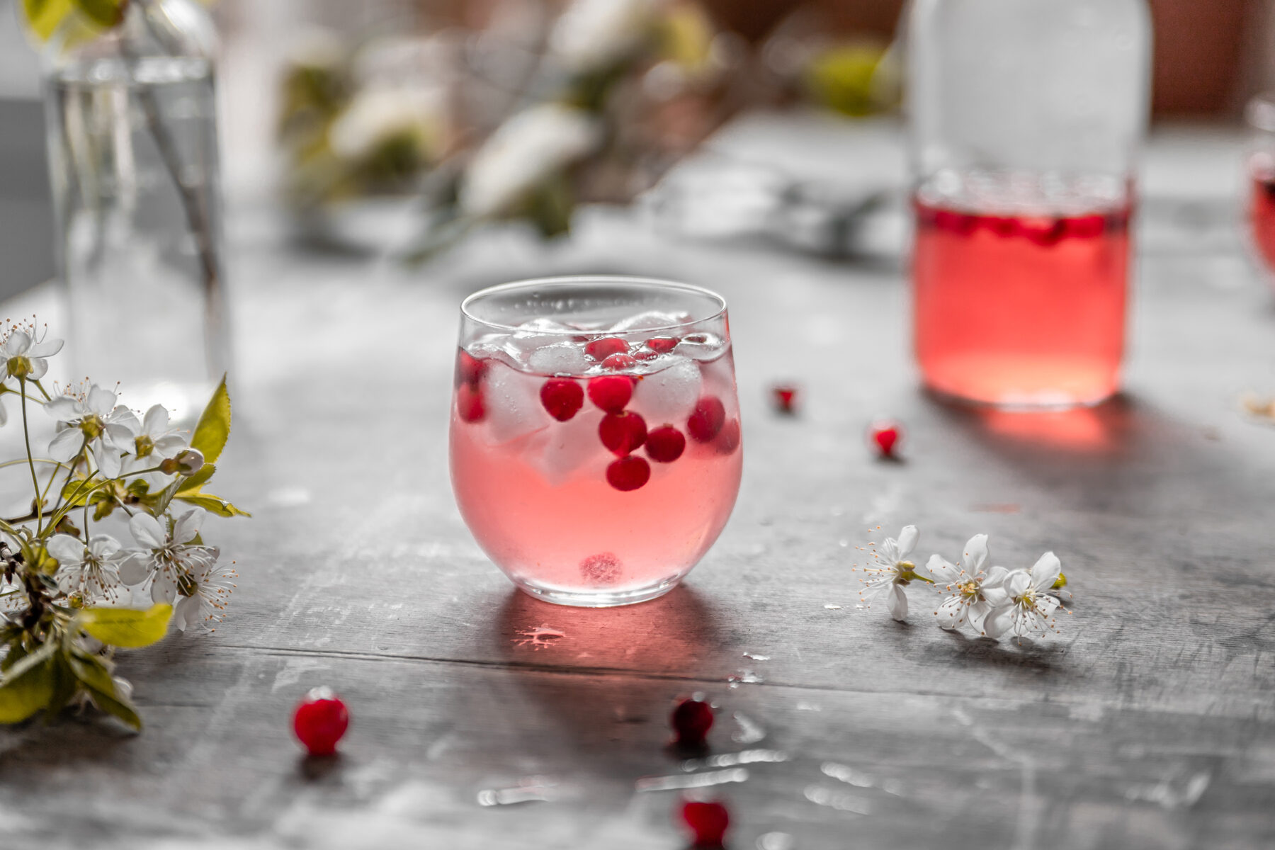 berry guide 11