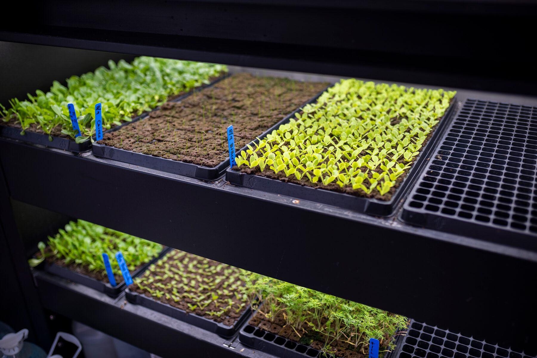 growing soil free 2
