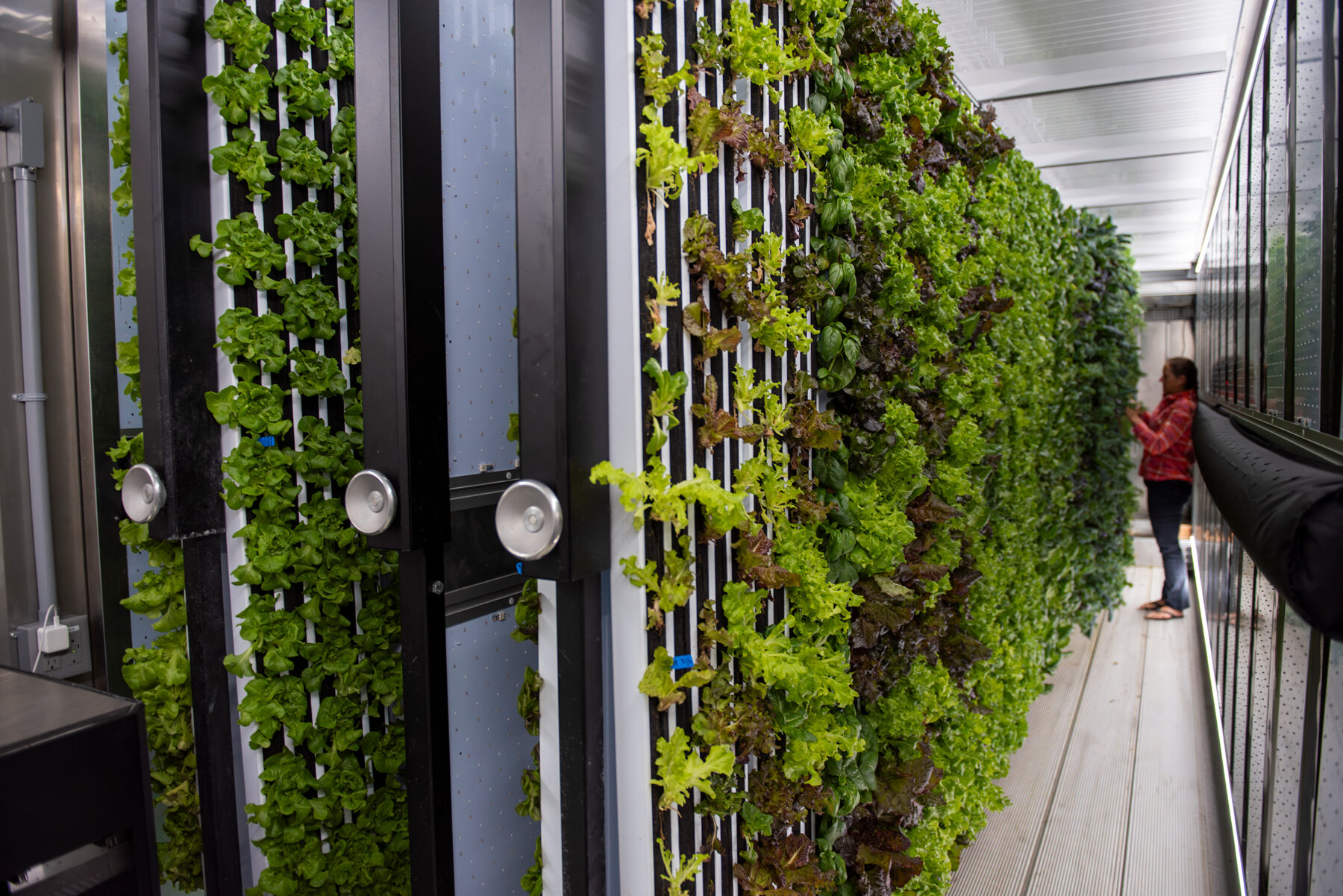 growing soil free 4
